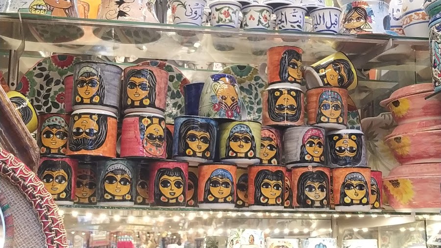 فضيات حسن شلبى